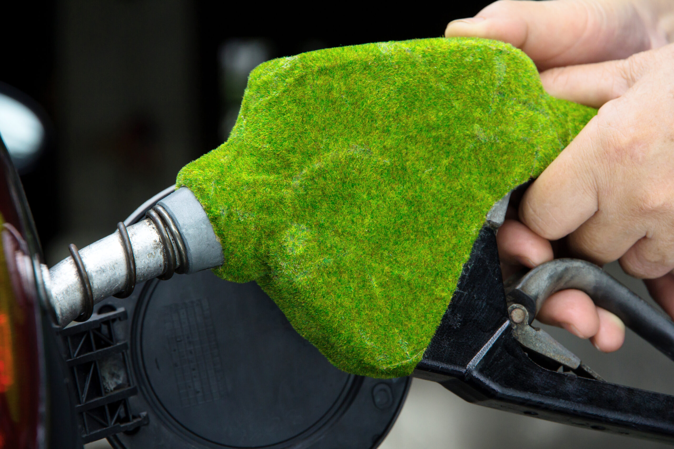 Fuel nozzle covered in moss.